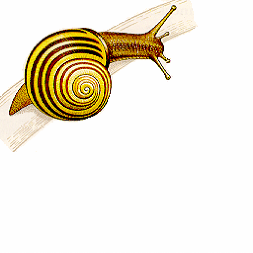 A snail image output of steganography decoding using 7 most significant bits